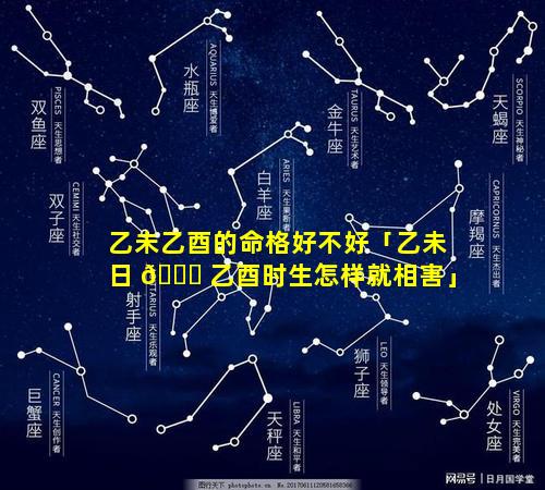 乙未乙酉的命格好不好「乙未日 🐘 乙酉时生怎样就相害」